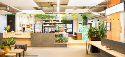 Coworking in France: Flexibility, Innovation, and Human-Centered Workspaces